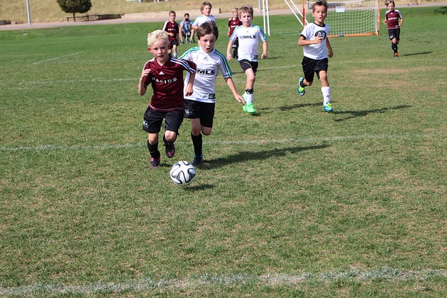 DO：纽卡清楚需尽快促成伊萨克转会交易，当前局面已难以为继