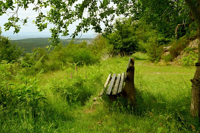 📺 明晚十点，我狐最后一场季前热身赛。